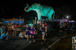 BIB: 
                            <button type="button" onclick="openModal(26552344)" class="btn btn-primary btn-sm float-right btn-popup" data-toggle="modal" data-target=".modal-high-quality">
                        <i class="fas fa-shopping-cart"></i> Add to Cart
                    </button>
                                            <button type="button" onclick="isThisMe(26552344, true)" class="btn btn-success btn-sm float-right btn-popup btn-isme hidden" data-toggle="tooltip" data-placement="bottom" title="นี่คือรูปของคุณใช่ไหม คลิกที่นี่เพื่อเอาเข้าอัลบั้ม">
                        <i class="fas fa-plus"></i> Add to album
                    </button>
                    <button type="button" onclick="isThisMe(26552344, false)" class="btn btn-warning btn-sm float-right btn-popup btn-isnotme hidden">
                        <i class="fas fa-ban"></i> Remove from album
                    </button>